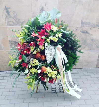 Tuli Pan Kwiaciarnia Gliwice